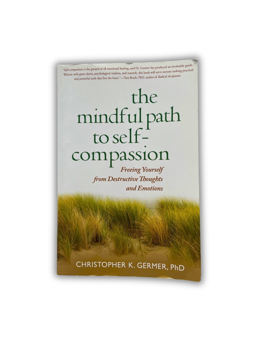 📚 3/25 The Mindful Path to Self Compassion by Christopher K. Germer | Paperback